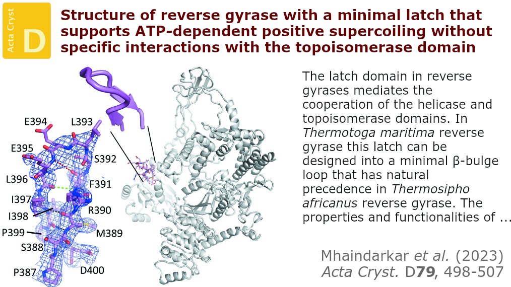 ActaCrystD's tweet photo. Comparison of the sequences and structures of latch regions in T. maritima reverse gyrase and other reverse gyrases shows that neither sequence nor structure are decisive factors for latch functionality #ReverseGyrases #Helicases #Topoisomerases https://t.co/WePbeXzvhn https://t.co/byi5yVvgDI