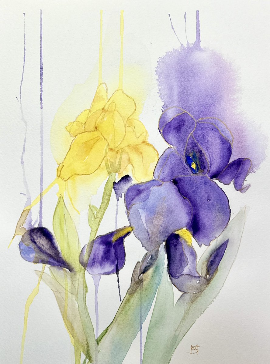 Enjoyed being creative with this loose watercolour painting of irises 

#watercolourartist #watercolours #loosewatercolour #artwork #art #flowers #floral #trysomethingnew #watercolourart #watercoloursbysarah #watercolour #watercolourpainting #iris #irises