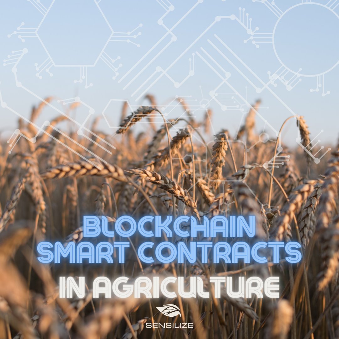 sensilize's tweet image. One application of blockchain technology in agriculture is the use of smart contracts to facilitate transactions between farmers and buyers.

Visit our LinkedIn page to read more: bit.ly/3oZgOg6

#blockchain #digitalfarming #smartfarming