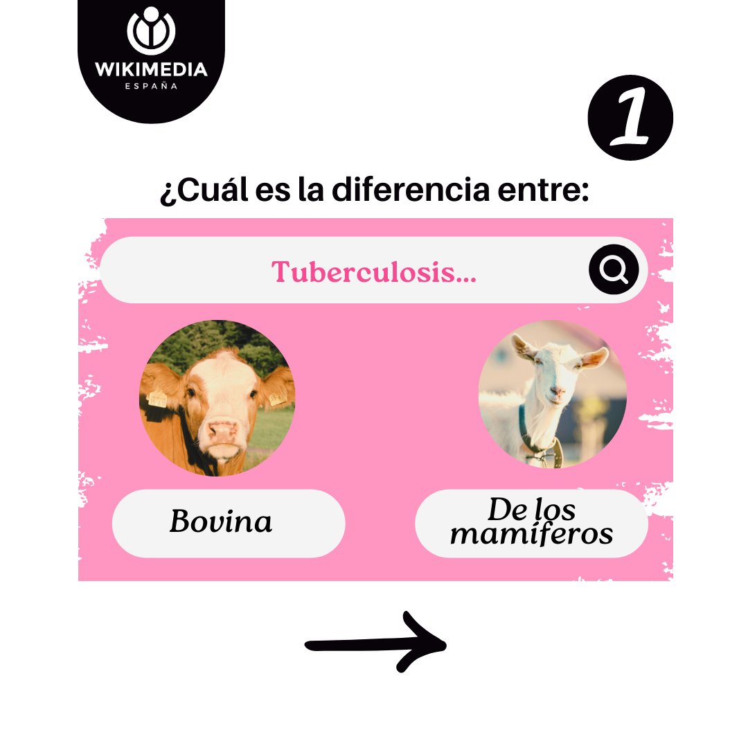 wikimedia_es's tweet photo. #ConocimientoWMES💡¿Sabías esto? 

📌La tuberculosis de los mamíferos es una enfermedad infecto-contagiosa crónica y debilitante producida por bacterias pertenecientes al complejo 'Mycobacterium tuberculosis'... ¡si si, nombres raros pero interesantes!😉▶️ https://t.co/7baUg6bqnX https://t.co/iwht3ZFJJT
