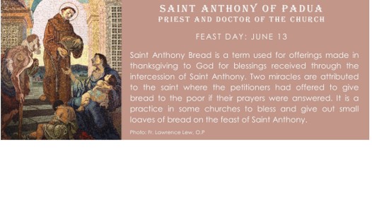 Today, June 13, is the memorial to St. Anthony of Padua.  #SaintoftheDay