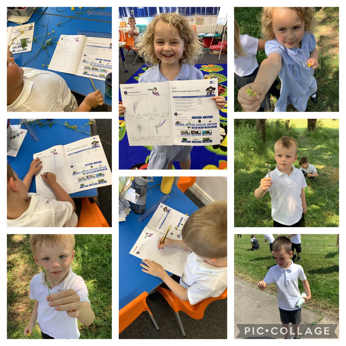 This afternoon we started our new science topic: Common plants. We had lots of fun discovering what plants we had in our school field and woodland area, then getting to draw them after 🌿🌾🌳 @PrincipalSTH @STHAssistantHT @MissClayton__ @ScienceatStH1 @MrsE_y1StHelens