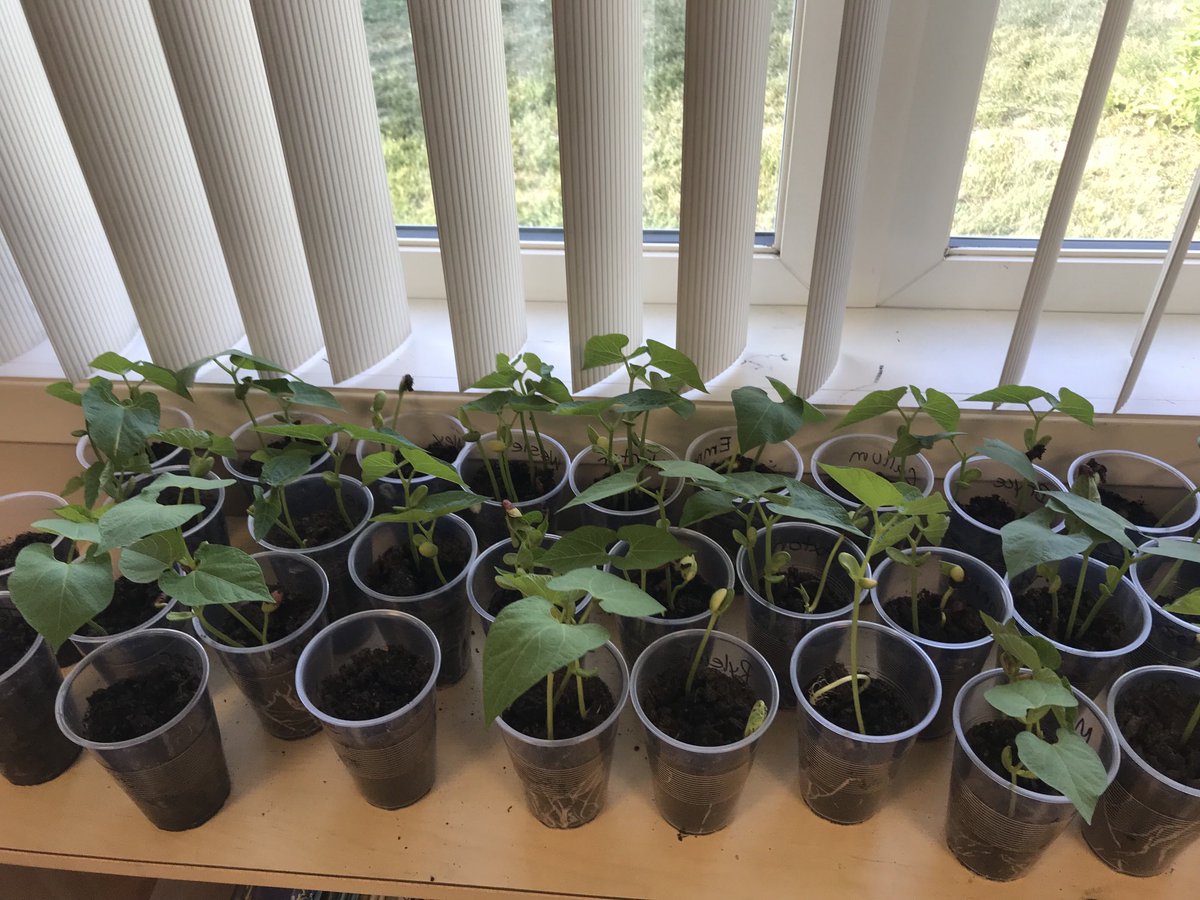 M Stepanowich tweet media