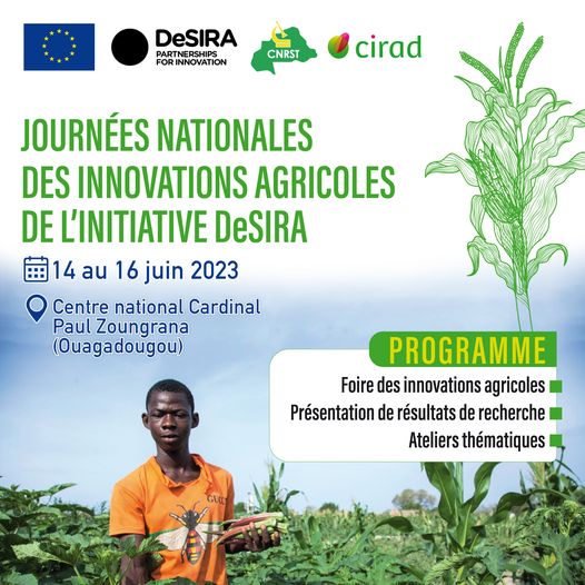 Du 14 au 16 juin 2023 le projet #SUSTLIVES participera aux journées des #InnovationsAgricoles de l’initiative #DeSIRA, à Ouagadougou #BurkinaFaso.
12 projets partageront leurs résultats sur le renforcement du système national d’innovation agricole. 

Suivez : #JournéeDeSIRA2023