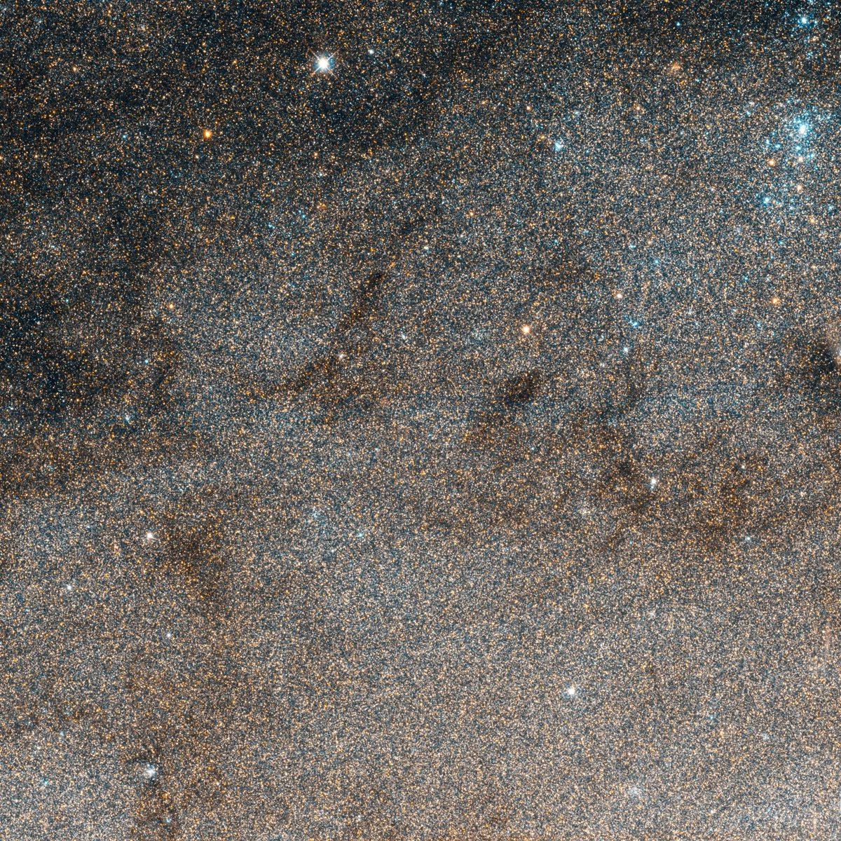 The galaxy next door!

This #HubbleClassic view shows a star field in the outer disk of the Andromeda Galaxy, which is the nearest major galaxy to our Milky Way.

Explore more: go.nasa.gov/45WRs3i