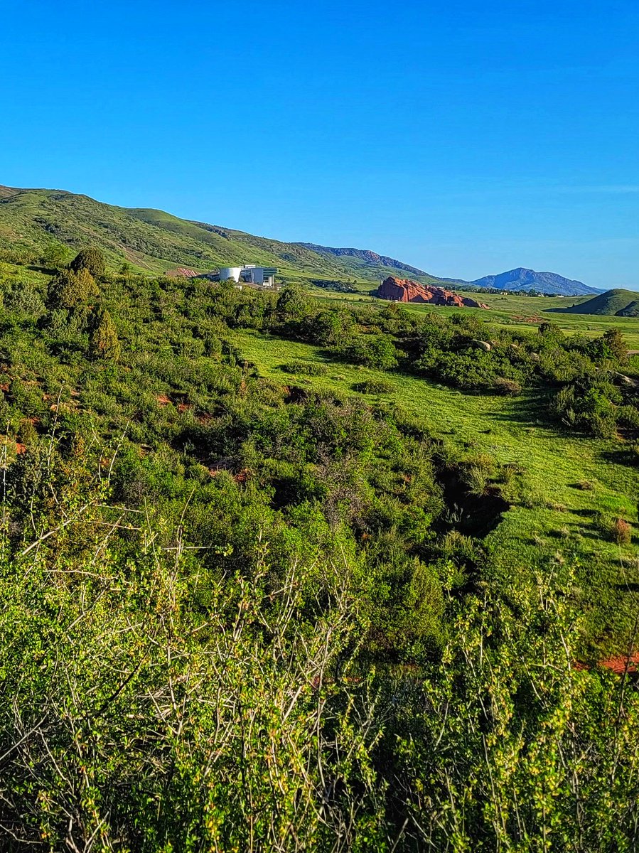 My hike up to Plymouth Mountain begins in a grassy meadow full of wildflowers at the Deer Creek Canyon Park Trailhead before going through stands of scrub oak and reaching a first overlook.
#DeerCreekCanyon #ColoradoHikes #JeffCoOpenSpace