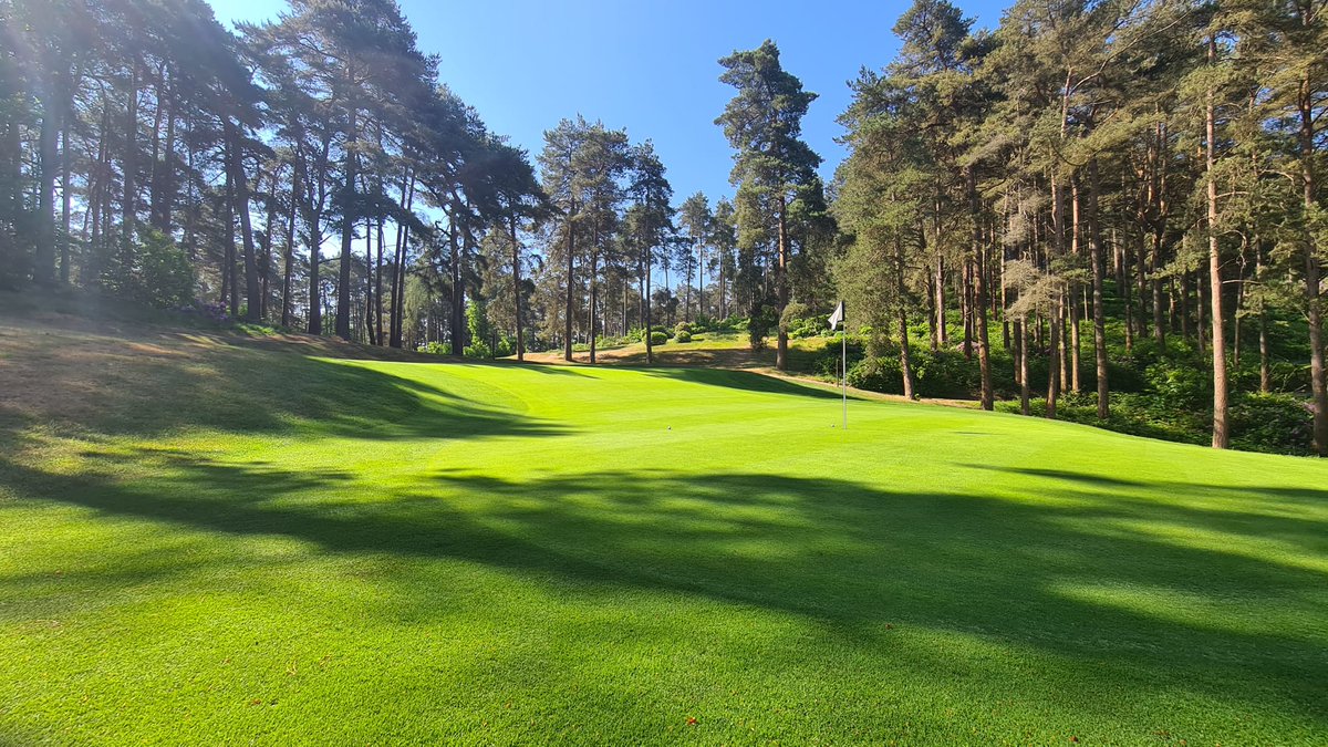 ICL Growing Solutions - Turf & Landscape 🇬🇧🇮🇪 (@icl_turf) on Twitter photo Regular applications of <a href="/SyngentaTurfUK/">Syngenta Turf UK and Ireland</a>'s Qualibra wetting agent and water conservation agent with Vitalnova SMX are keeping the greens at Old Thorns Golf Club looking and playing great through this hot spell! 🌞🌞
#productsthatperform Regular applications of <a href="/SyngentaTurfUK/">Syngenta Turf UK and Ireland</a>'s Qualibra wetting agent and water conservation agent with Vitalnova SMX are keeping the greens at Old Thorns Golf Club looking and playing great through this hot spell! 🌞🌞
#productsthatperform
