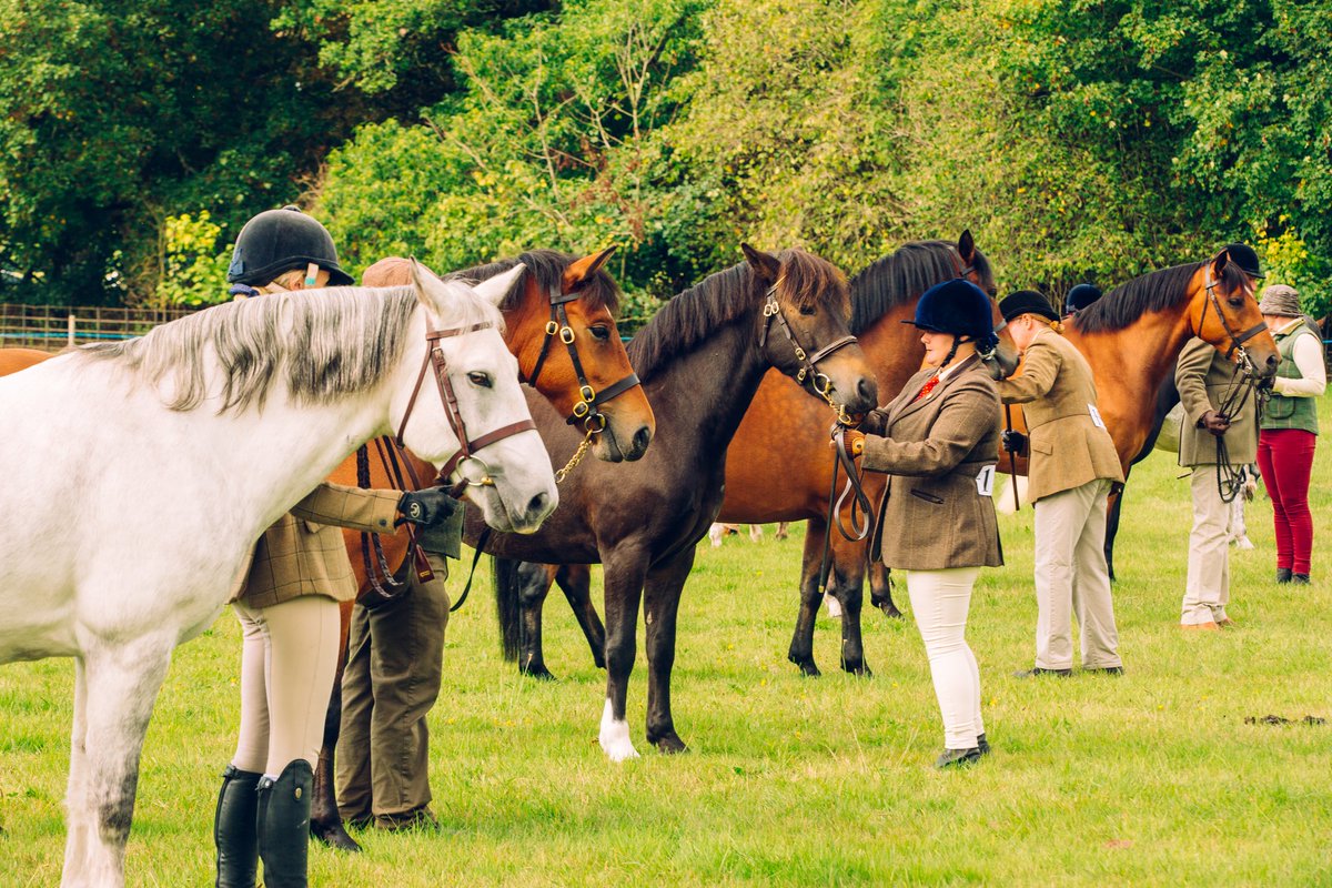 Entries are now open for both equine and livestock classes at the show on Saturday 9th September.

romseyshow.co.uk/competitors
