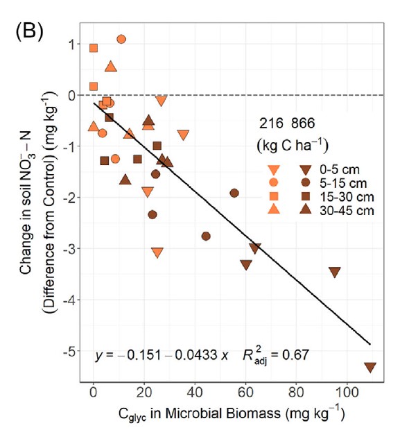 Adding a labile C source (#glycerol), with typical farm equipment, to ag soils increased microbial activity and N immobilization. Down to 18" (45 cm)!  Find out more below 👇.
onlinelibrary.wiley.com/doi/10.1002/jp…
Funding: <a href="/REGbiofuels/">Chevron Renewable Energy Group</a>. #StevePotter, #ChristarKin, #JohnSawyer, #StevenHall