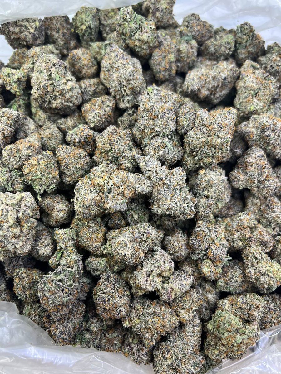 Cherry
Hp……$450
Lb…….$900
#weed #WeedLife #WeedLovers #Weedmob #Weedsmokers #smokers #smoker #smoke #CannabisCommunity #cannabisculture #cannabisindustry #cannabisusa #Mmemberville #stoners #StonerFam #STONER #420community #420friendly #420day