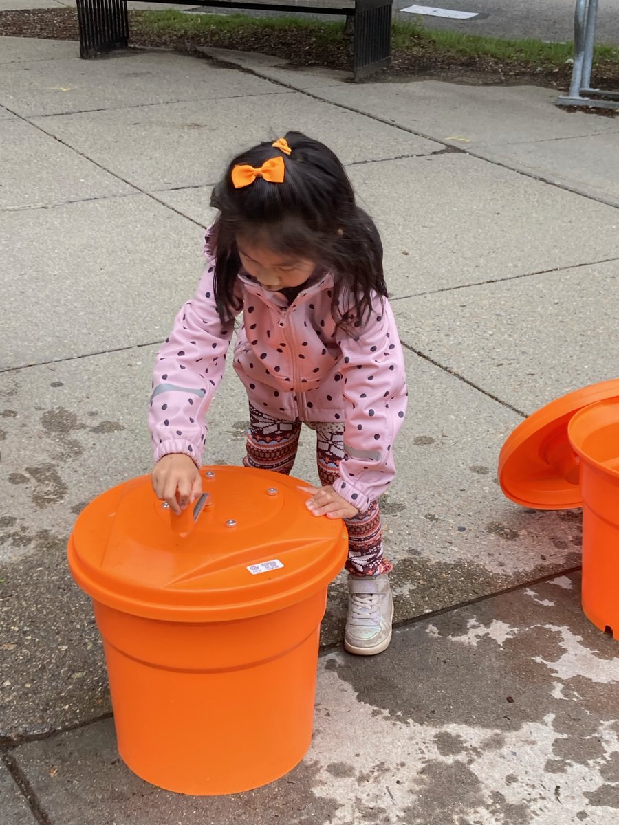 Harvest Days involved Pierce students K-4 last week. Students got to cut, rinse and spin the lettuce. Industrial spinners are fun!
