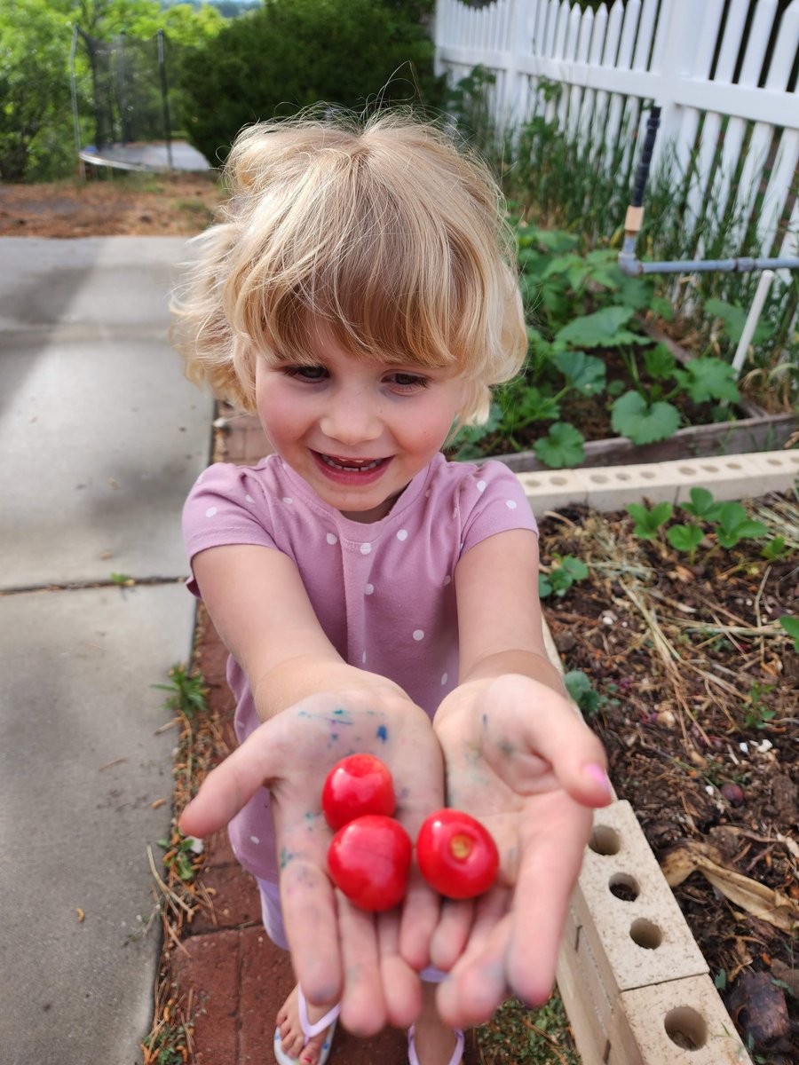 thermokarst's tweet photo. These guys can make a few unripe cherries feel like Christmas. #KidMagic https://t.co/JZcLypkIKF