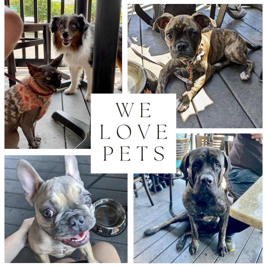 Enjoy our PET FRIENDLY patio!! 🐶 ☘️ #pib #petfriendly #putinbay #lakeerie