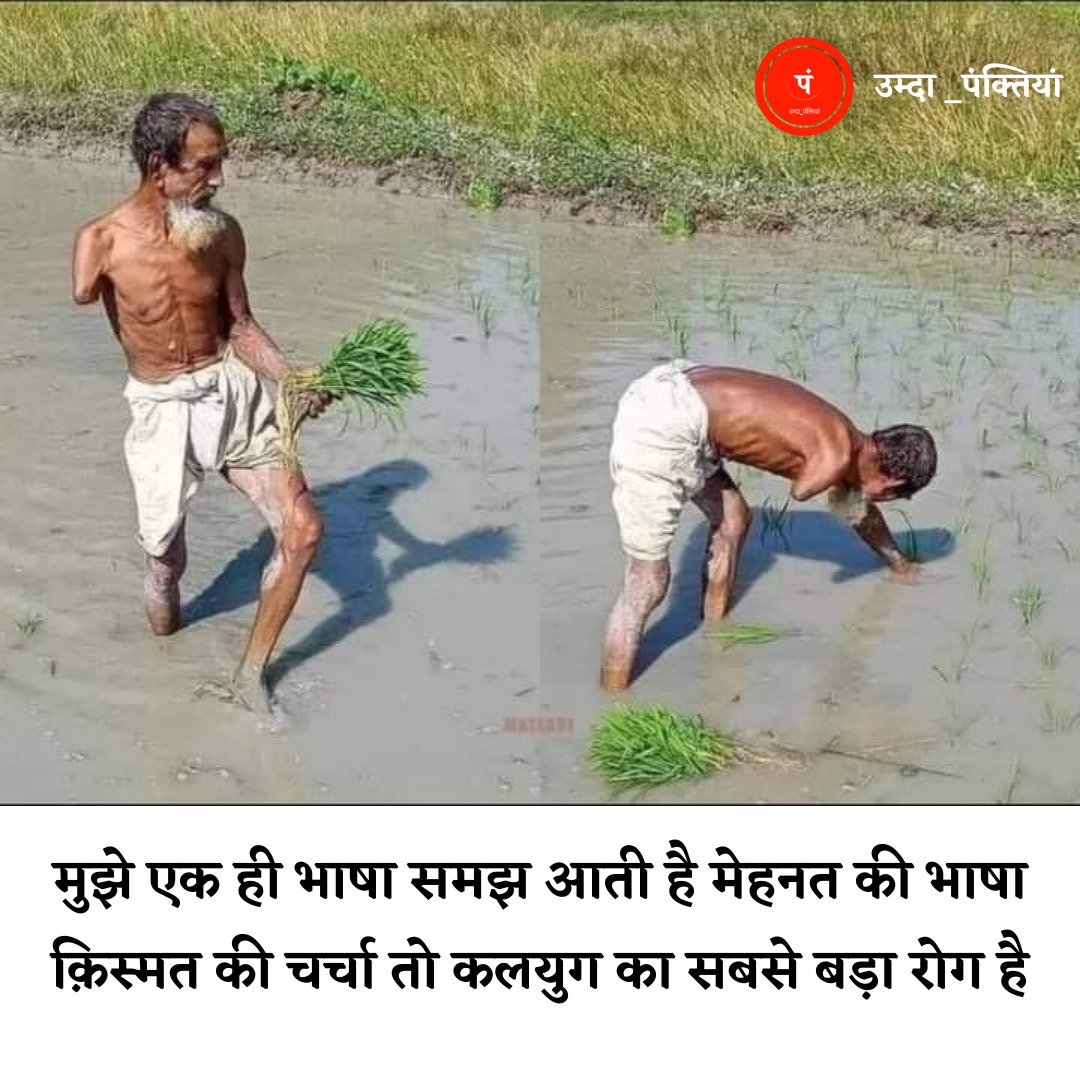 umda_panktiyaan's tweet photo. मुझे एक ही भाषा समझ आती है
मेहनत की भाषा।

क़िस्मत की चर्चा तो
कलयुग का सबसे बड़ा रोग है। https://t.co/5XqrBaFfkI