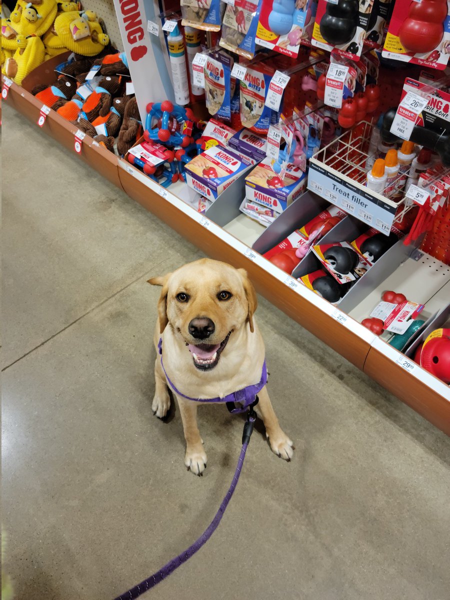 Pure joy in <a href="/PetSmart/">PetSmart</a> 🥰