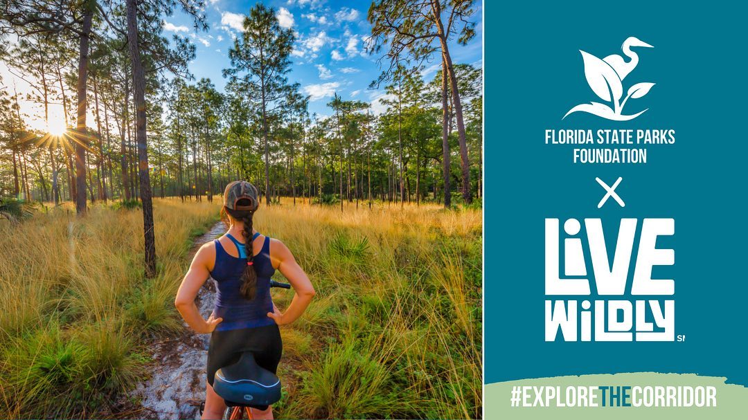 livewildlyfl's tweet photo. 📣: AMAZING news to share this morning! We are teaming up with @FLStateParksFdn for a *transformational* partnership to amplify and foster the conservation of the state parks and trails located within the #FloridaWildlifeCorridor! https://t.co/mn39OnJ9PA #ExploreTheCorridor https://t.co/wdiNMRCvck