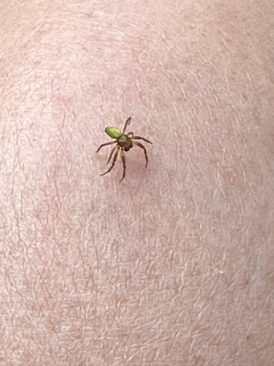 Paul Lewis tweet media