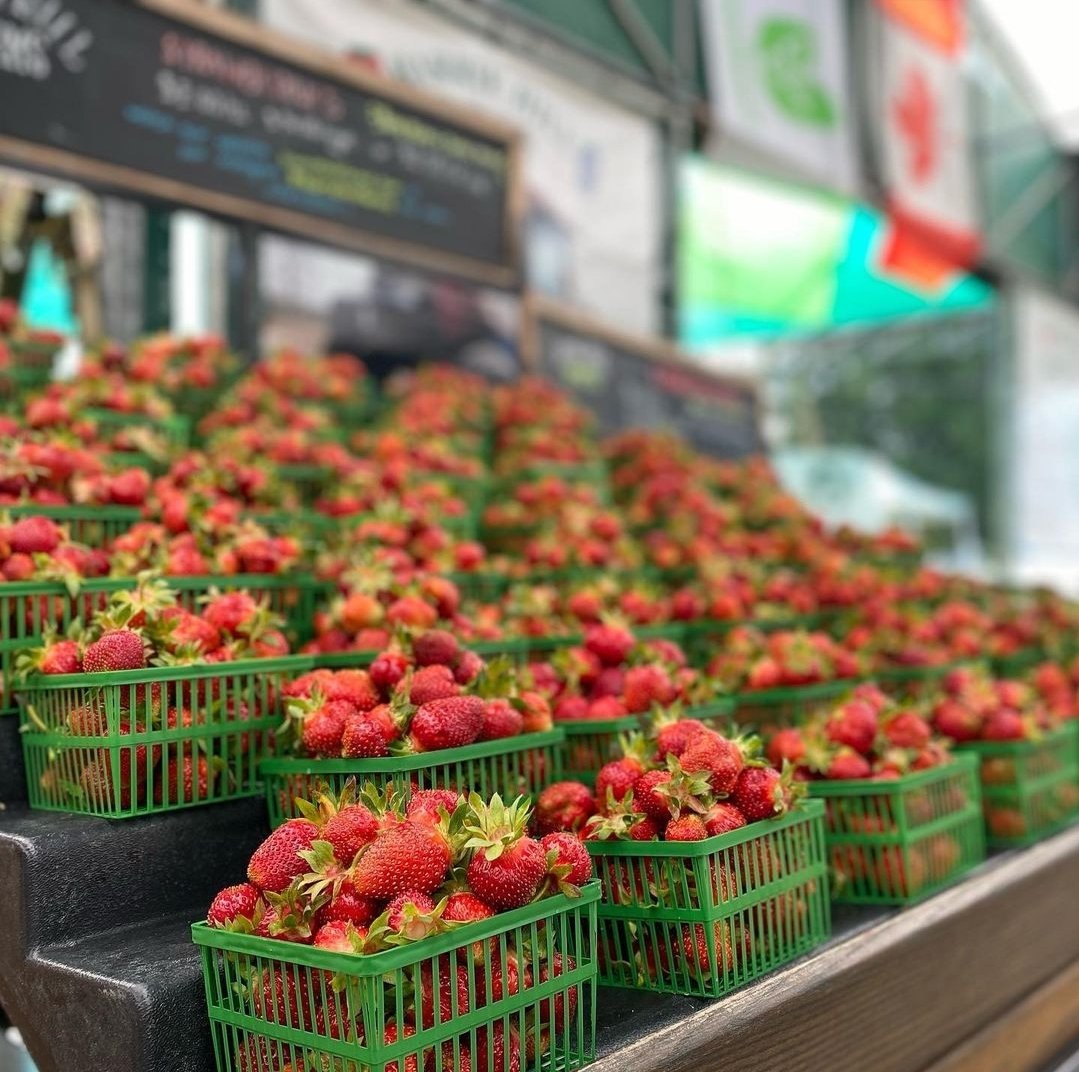 Wishing everyone a berry good week! Pick your own strawberries is happening at many of our members' farms. Thanks to @barriehillfarms for the photo! 🍓 Visit farmfreshontario.com to find a farm near you! #strawberry #farmfresh #shoplocal #familyfun