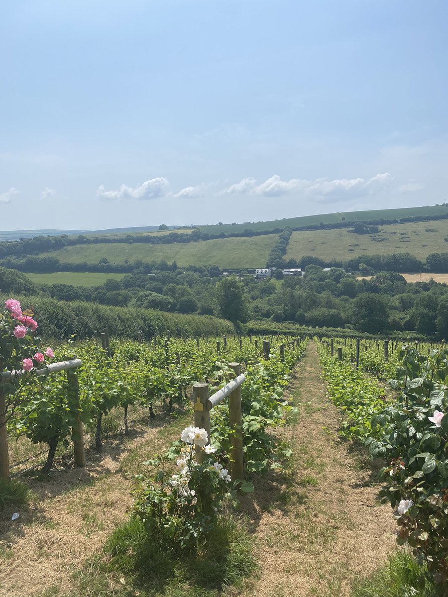 Great to finally get to Camel Valley. We supply Enartis products to them!