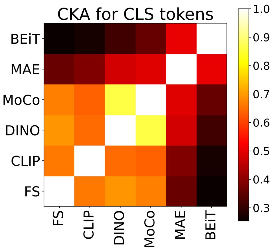 Matthew Walmer tweet media