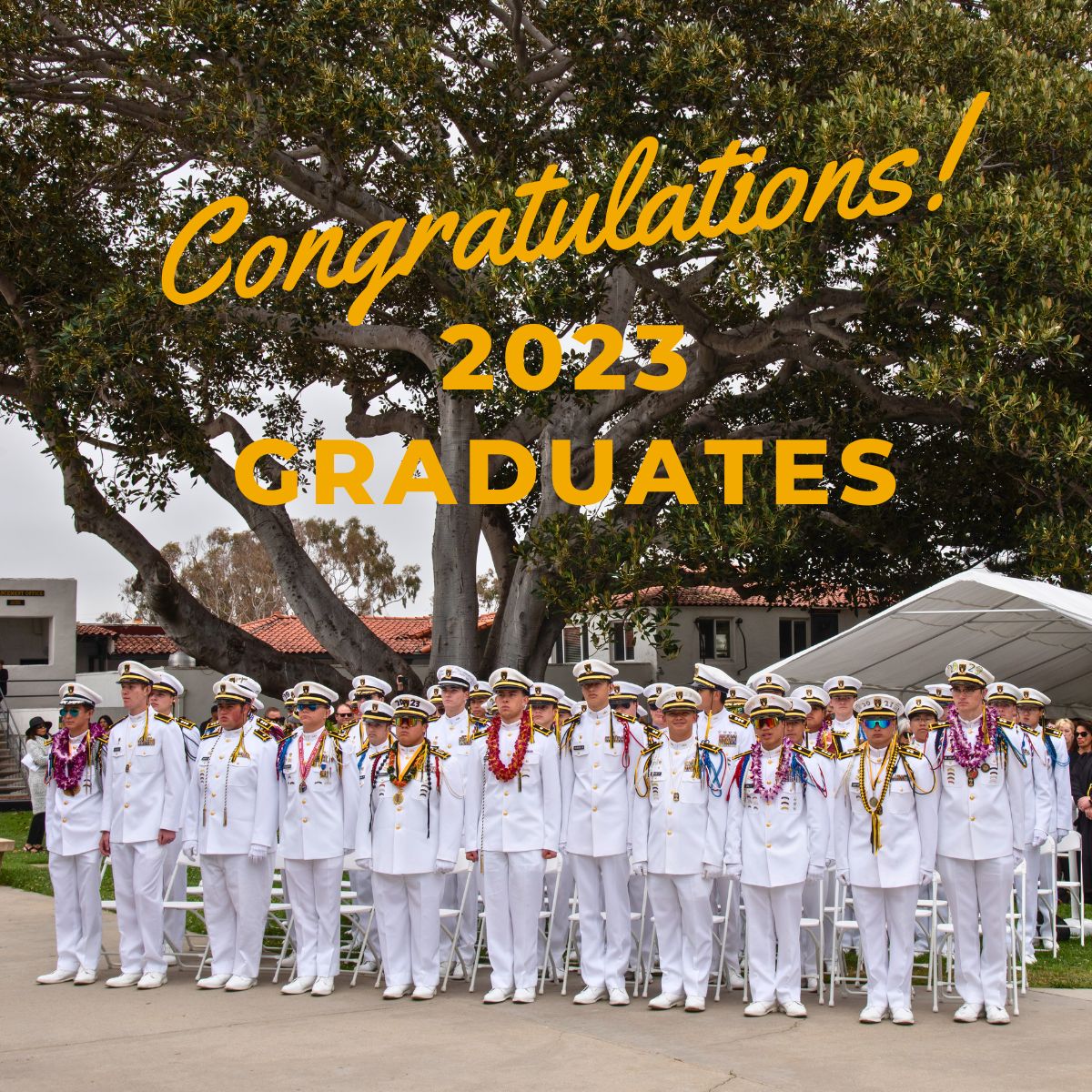 ANA class of 2023 was accepted to over 182 institutes of higher education and 21 cadets earned scholarships totaling $1,980,000!  We watch their next steps confident of their success because they have the heart of a Warrior.
#boardingschoollife#militaryacademy#classof2023