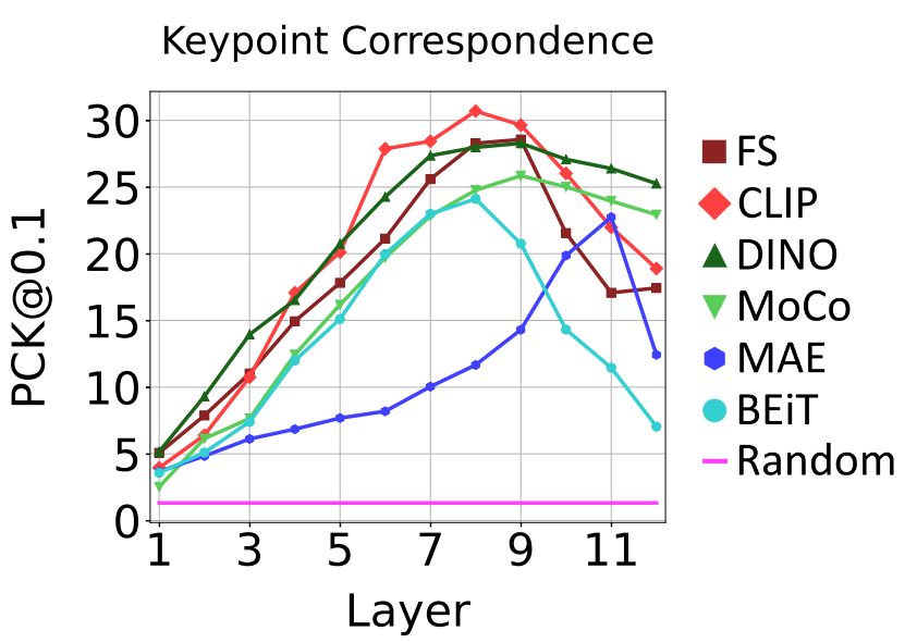 Matthew Walmer tweet media
