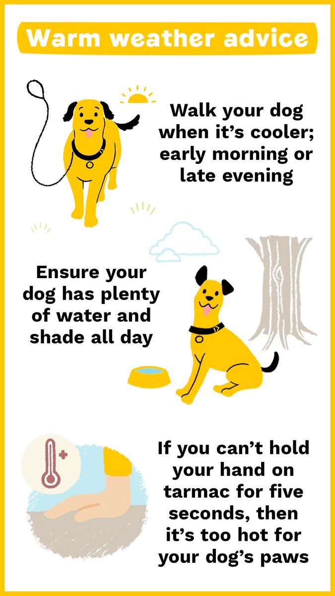 Some #WarmWeather safety advice from @DogsTrust as the sun comes out across the #TwoCities

#KeepDogsCool #ADogIsForLife #LoveDogs 🐾