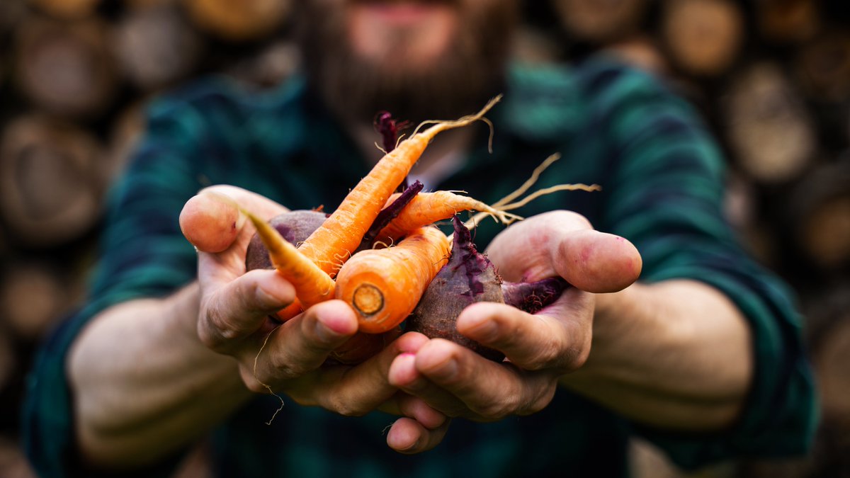 ❓What’s the impact of #NatureRestoration on food productivity?

Our research suggests that restoration of degraded & over-exploited ecosystems is an insurance policy for long-term sustainability & resilience of our food 👉europa.eu/!fMwjF4

#RestoreNature