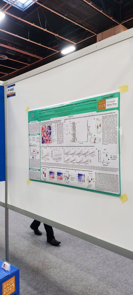 If you are in Torino attending the EACR, come to the poster P-0482 'N-Cadherin Expression and KRAS mutation status could predict response to Anti-FGFR Therapy'
#EACR2023