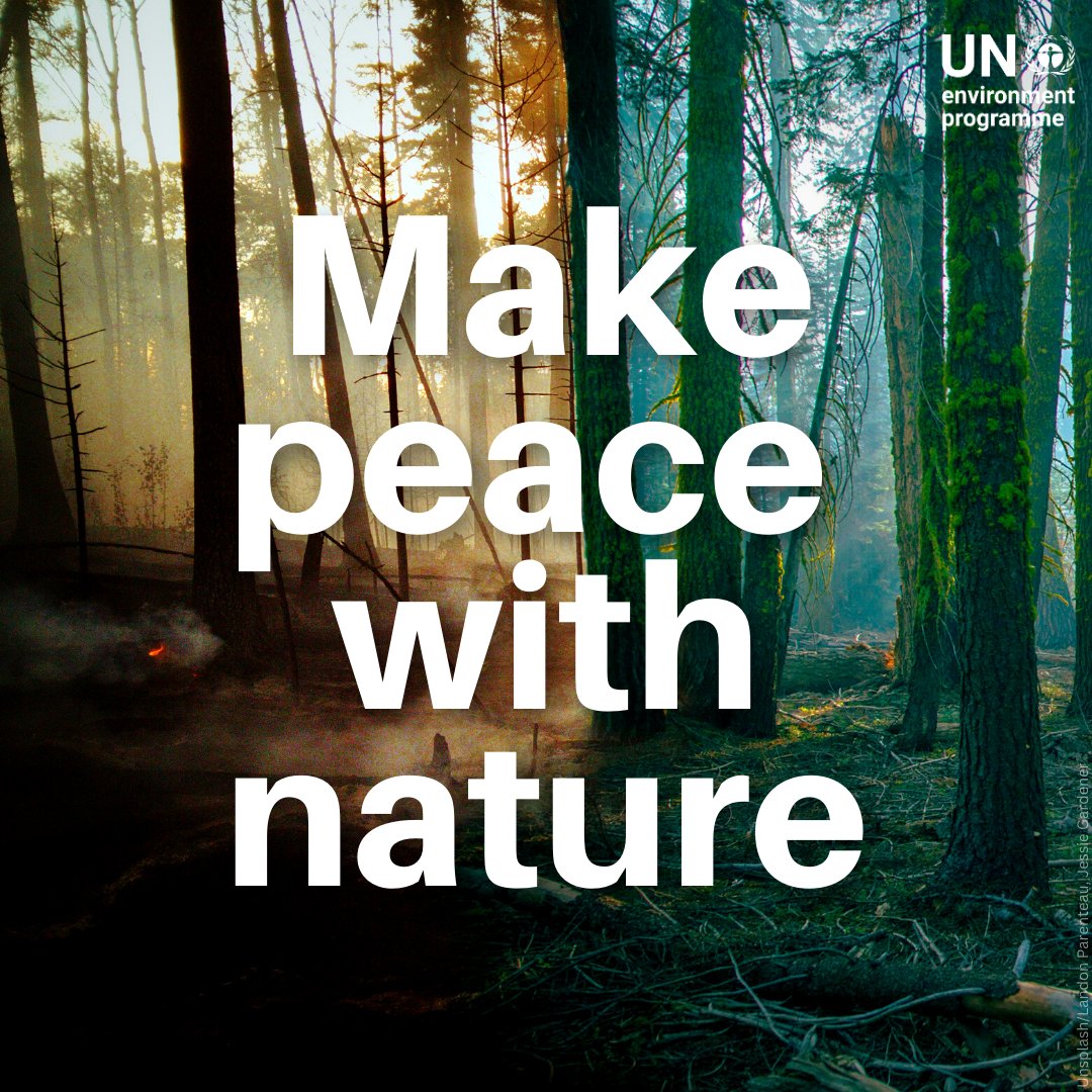 Humanity is waging war on nature.

Yet, without nature and biodiversity, human survival is at stake.

Today marks the 100-day countdown to #PeaceDay –  a reminder everyone has a role to play in making peace with nature &amp; achieving the #GlobalGoals.

un.org/en/observances…