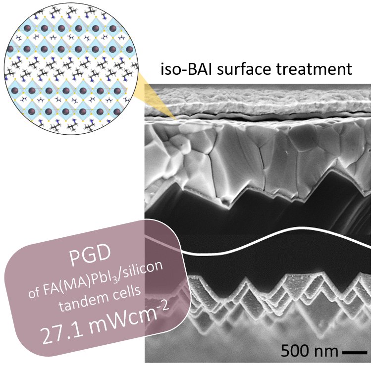 Paper alert🚨 Our nip bifacial perovskite/Si tandem solar cell paper is out! Here, we used 2D iso-BA cation that yields improved interfacial passivation and enhanced hole extraction, resulting in remarkably enhanced performance of the tandem solar cells.👉 cell.com/matter/fulltex…