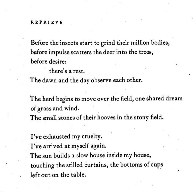 MayaCPopa's tweet image. This beauty by Jenny George: