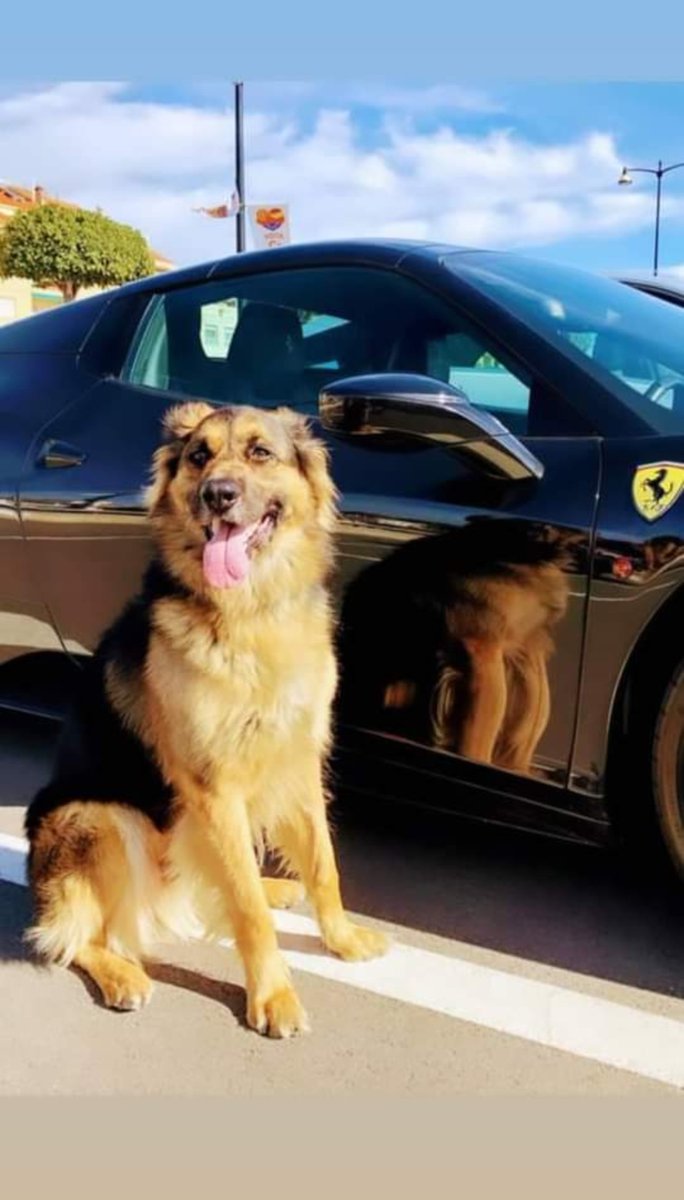 Bona tarda amics 🐻 #Cambrils #CambrilsPort #FerrariBarcelona￼￼ #Ferrari #FerrariClienti #LaFerrariSpider  #FerrariLaFerrari #LaFerrari #FerrariTailorMade #concesionarioferrari #ferraridealer #FerrariGenuine #FerrariCorseClienti #black #mardelplatalimousines @Ferrari