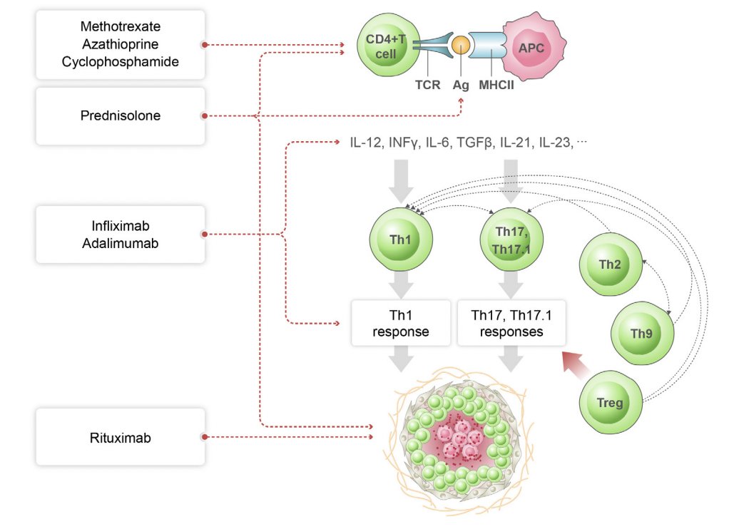 Review on Cardiac Sarcoidosis 
bit.ly/3WbdA3u