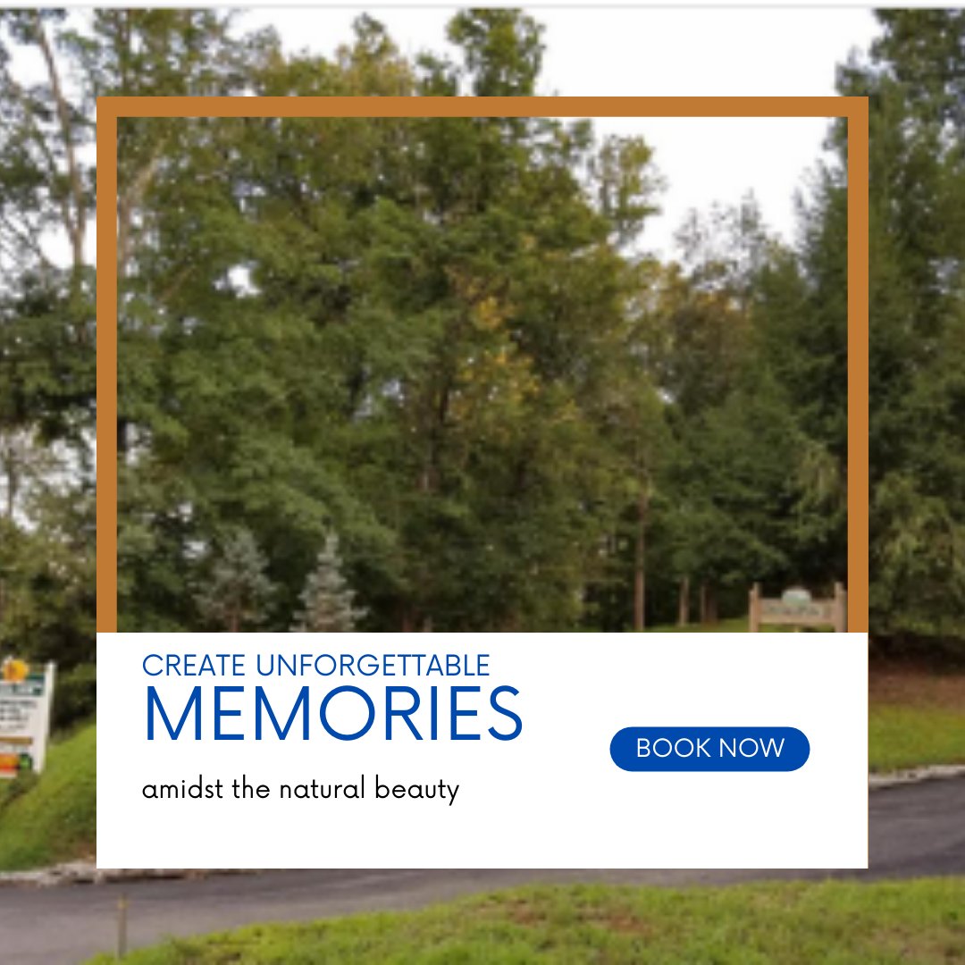 PointeResort's tweet photo. Create unforgettable memories amidst the natural beauty of Timber Pointe Resort.
Book your rustic luxury adventure today at #TimberPointeResort!
https://t.co/SgMcCpLBBp
.
.
#TimberPointeResort #NatureEscape
#RusticLuxury #UnwindAndRecharge #OutdoorGetaway #CreateMemories https://t.co/vLC8mhiLSN