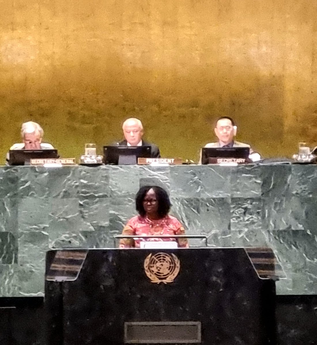 Amalia Gamio tweet media