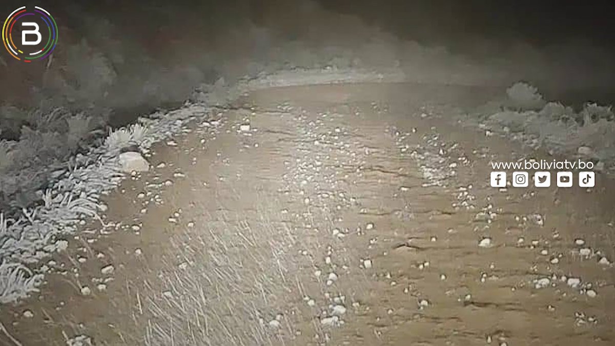 Canal_BoliviaTV's tweet photo. #BTVInforma
La nevada y helada empieza a afectar a varias regiones de #Chuquisaca, como #Incahuasi, #Culpina y #VillaCharcas; los árboles frutales los más afectados.
Periodista: Mirian Ortiz BTV https://t.co/G6xaQJz76M