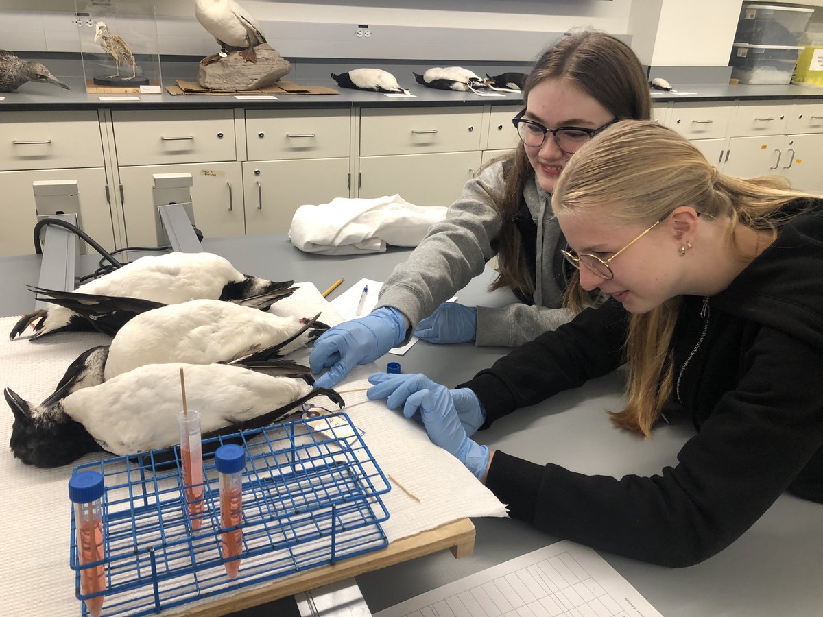 MyrickGillian's tweet photo. HTH Biology and Chemistry students had a fantastic trip hands on lab experience today! Thank you @munSciOutreach
@hthtigers @hthscience https://t.co/oeUSpNXKlO