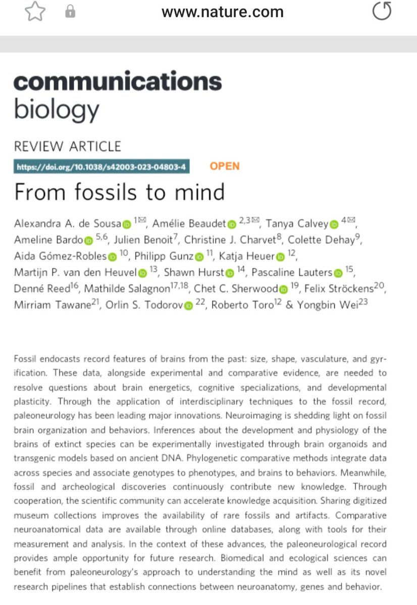 SANeuroSoc's tweet image. Another research output in @CommsBio from the SANS From Fossils to Mind workshop saneurosoc.co.za/fromfossilstom… by @AleAliSousa @BeaudetAmelie @TanyaCalvey et al 
rdcu.be/depH1