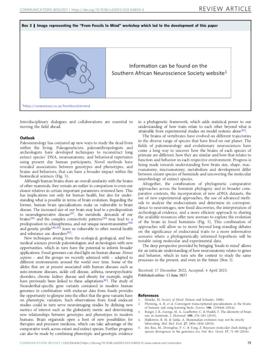 SANeuroSoc's tweet image. Another research output in @CommsBio from the SANS From Fossils to Mind workshop saneurosoc.co.za/fromfossilstom… by @AleAliSousa @BeaudetAmelie @TanyaCalvey et al 
rdcu.be/depH1