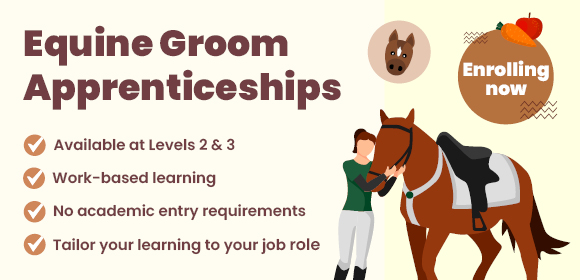 If you're looking for a way to get your #horsecare career started, have you considered studying an #equine apprenticeship?✨ Our equine #apprenticeships can help you gain work experience, earn a wage and learn practical skills. 🐴 Find out more at ➡️bit.ly/3q6qyFy