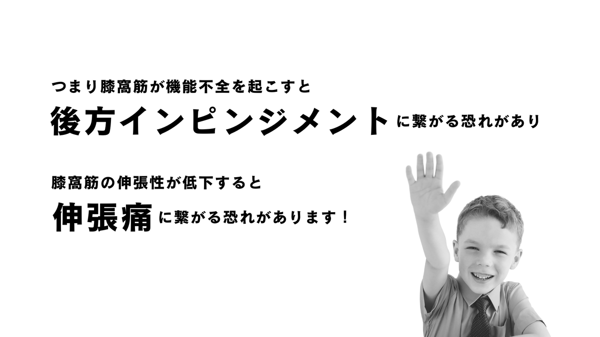 TakumiRodrigues's tweet photo. 膝屈曲時の膝窩部痛について↓
https://t.co/Rj8S0qjuAJ https://t.co/rJf75GfkpN