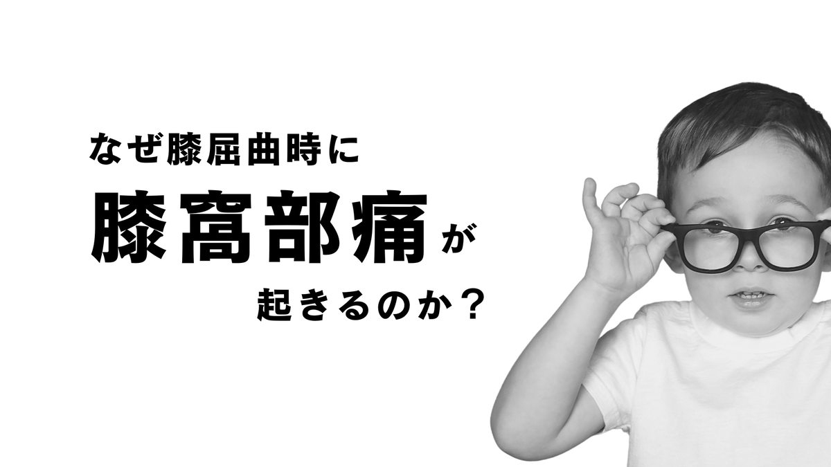 TakumiRodrigues's tweet photo. 膝屈曲時の膝窩部痛について↓
https://t.co/Rj8S0qjuAJ https://t.co/rJf75GfkpN