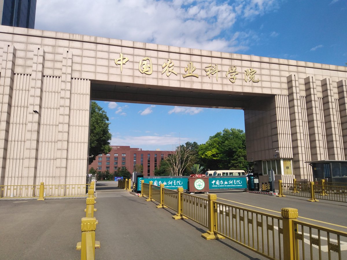 The sky is limitless for those who want to fly high. Just unfold your wings, flap and start journey towards mighty space. #Chinese_Academy_of_Agricultural_Sciences