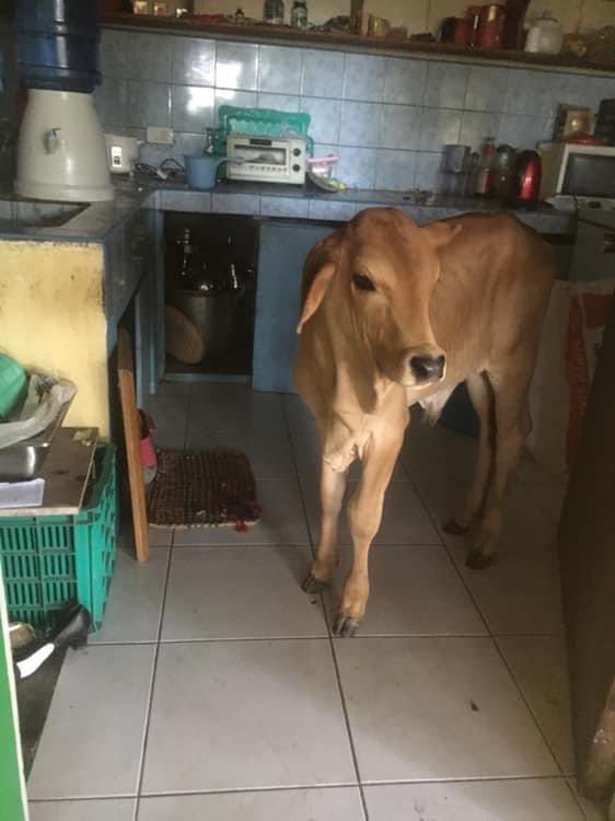 ‏ࣧ (@freerpw) on Twitter photo 