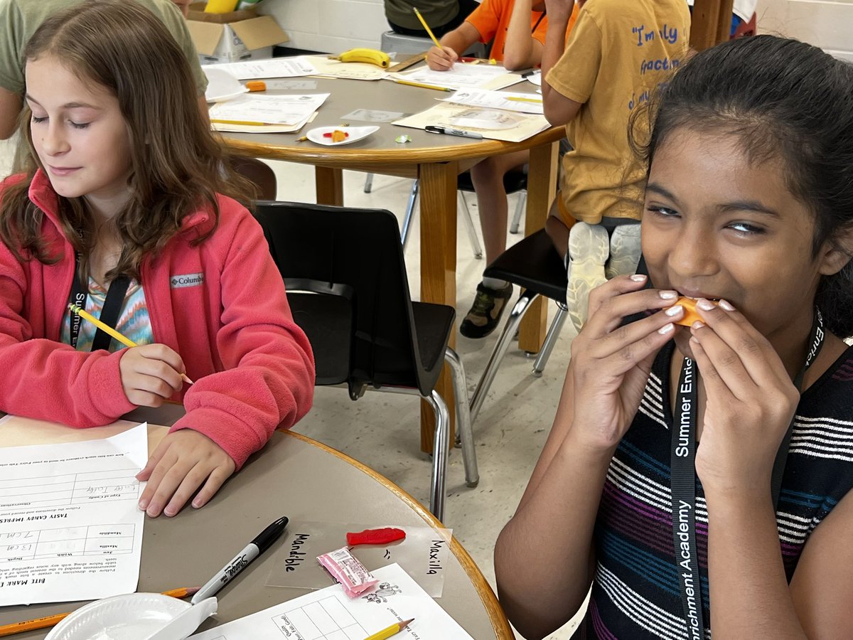 Julia Varnedoe tweet media