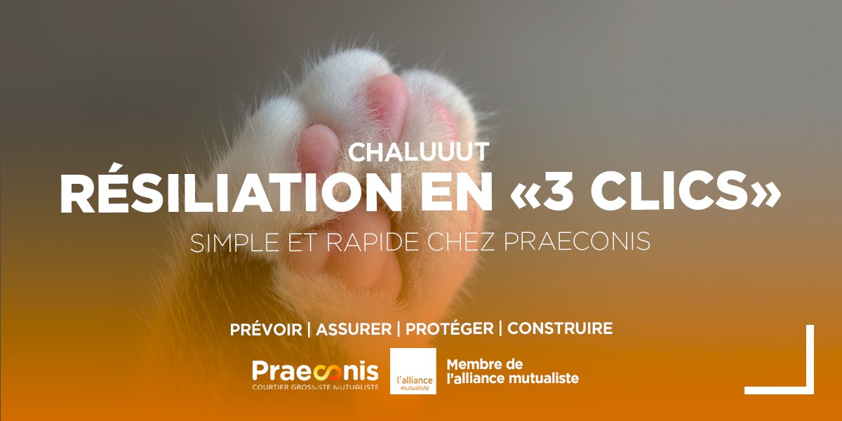 praeconis_fr's tweet photo. 📣Chez Praeconis, nous travaillons dur pour vous offrir les meilleures solutions et protéger votre 👪
🖱️Nous croyons en la transparence et la simplicité, et voulons que votre expérience avec nous soit la meilleure possible.
📞Disponible au 03 84 97 12 39
👉https://t.co/HxEQPMsp4j https://t.co/3vGAwo5Zrt