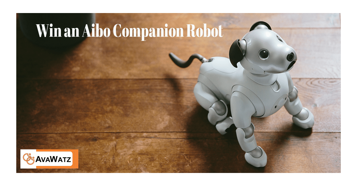 GooseGiveaways's tweet photo. Tech lovers, unite! Get ready to welcome your newest friend, the Aibo Robo Dog.🐾 Enter AvaWatz's $3,000 giveaway! Ends 8/3, open worldwide! Don't miss out👉 https://t.co/v39SWBpHyI 

#RoboDog #GiveawayAlert #TechSweepstakes https://t.co/M3WwUmzN7a