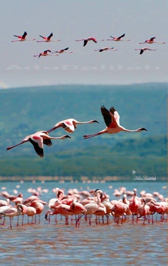 NATURALEZAV3's tweet image. Naturaleza.