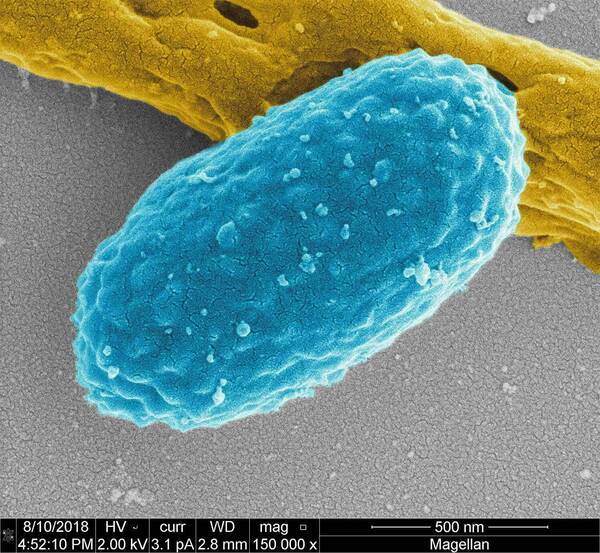 University of Notre Dame tweet media